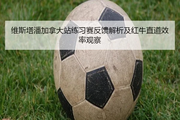 维斯塔潘加拿大站练习赛反馈解析及红牛直道效率观察